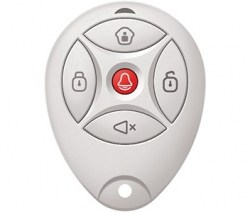 Брелок с тревожной кнопкой (868MHz) DS-PKFE-5
